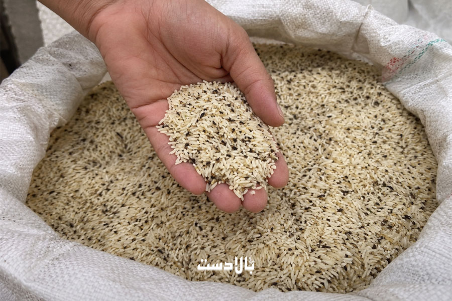 تشخیص برنج کهنه و آفت‌زده از روی ظاهر | 7 نشانه طلایی