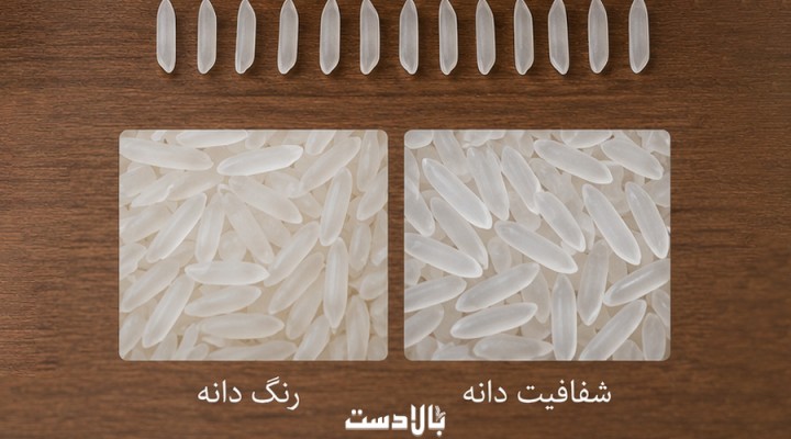 تست رنگ و شفافیت دانه برنج؛ ساده‌ترین راه تشخیص برنج درجه یک ایرانی