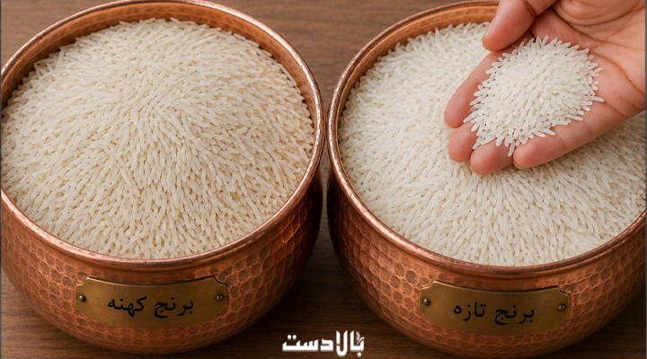 تفاوت برنج کهنه و جدید؛ کدام برای پخت شما بهتر است؟ (راهنمای کامل انتخاب)