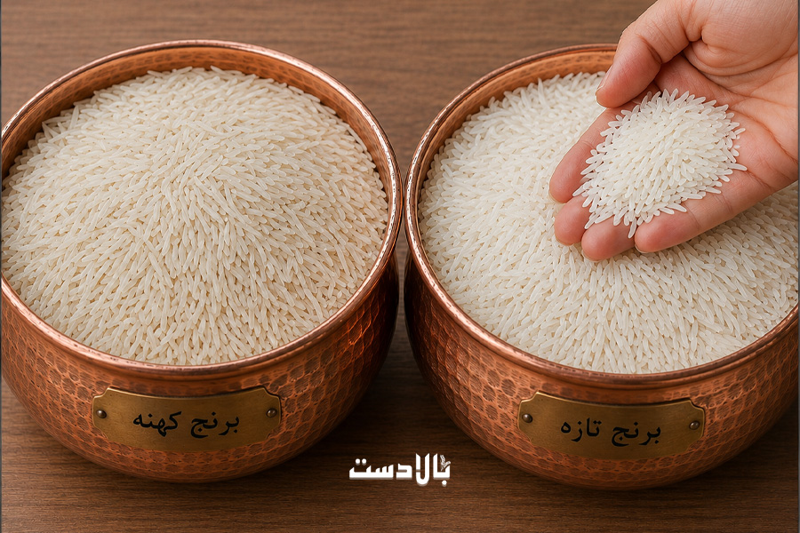 تفاوت برنج کهنه و جدید؛ کدام برای پخت شما بهتر است؟ (راهنمای کامل انتخاب) تفاوت برنج کهنه و جدید؛ کدام برای پخت شما بهتر است؟ (راهنمای کامل انتخاب)